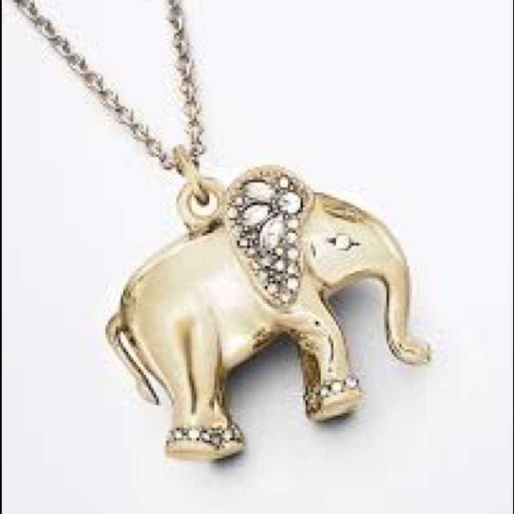 Ann Taylor necklace